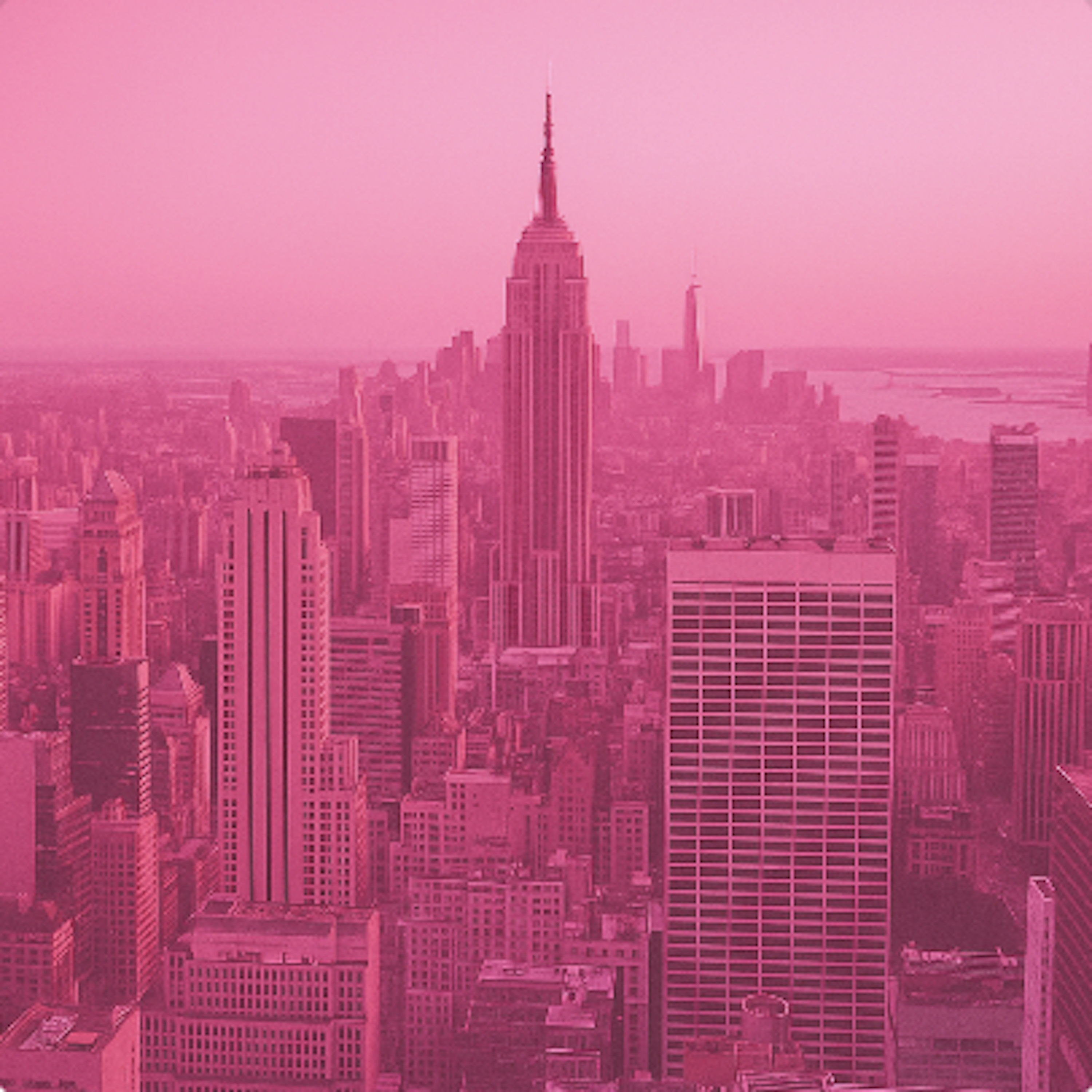 Pink MD performing live in NYC