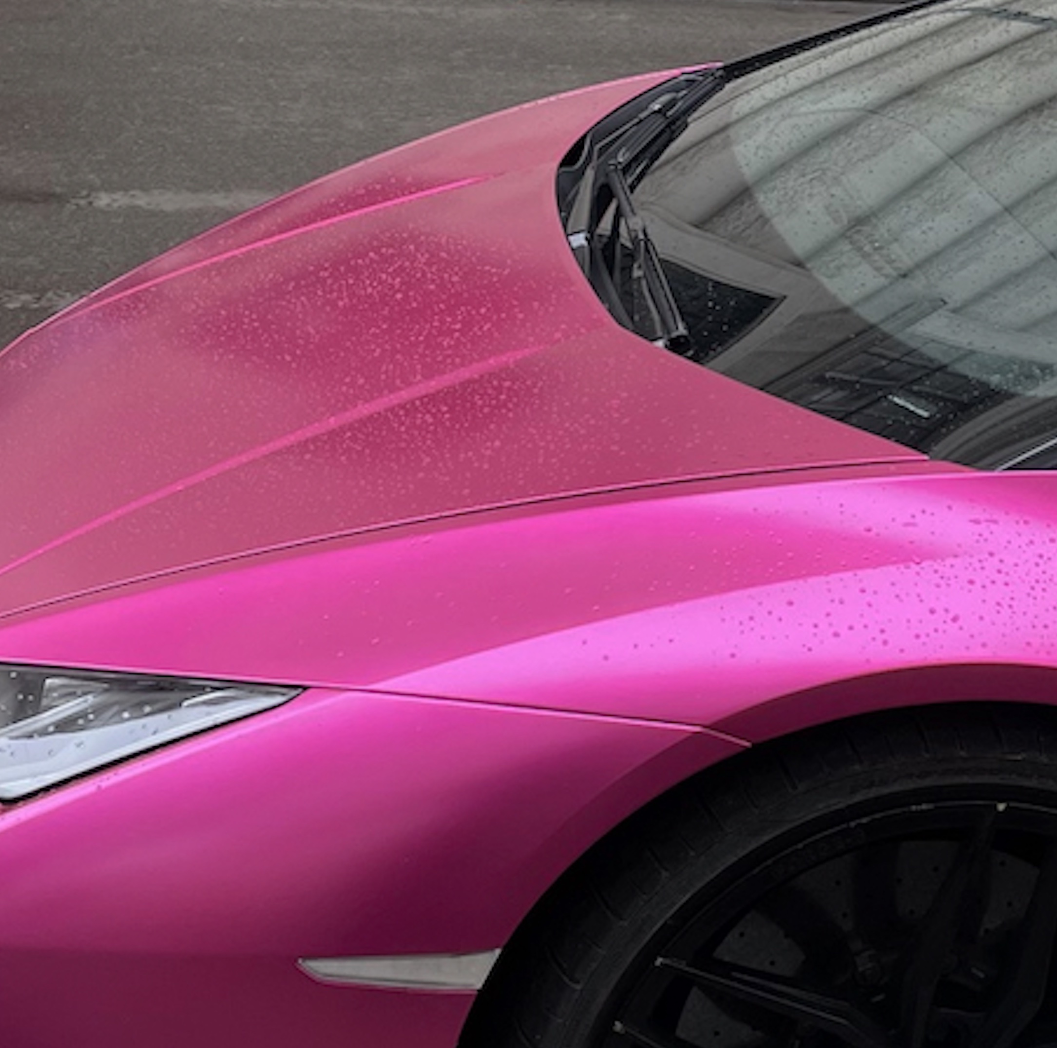 Pink MD in studio session